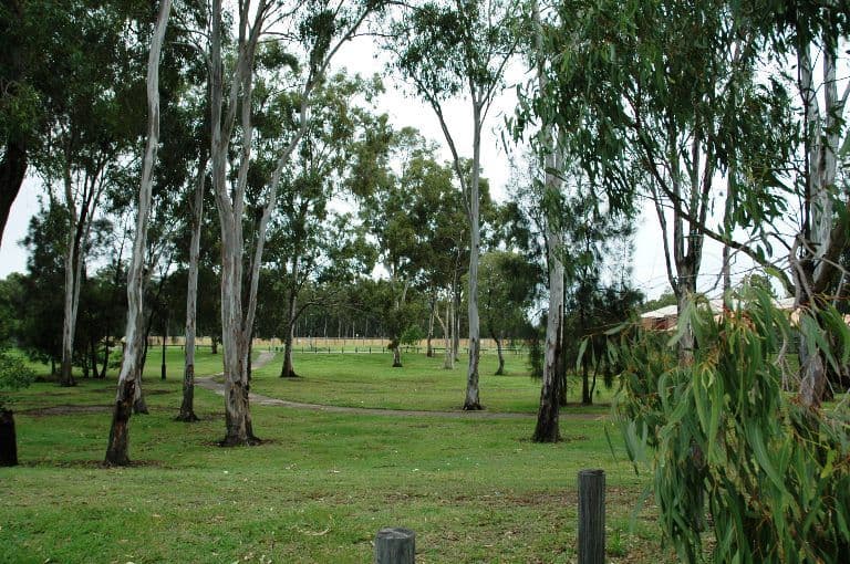 1 Strand Court, KIPPA-RING QLD 4021, Kippa-Ring - Thumbnail 5
