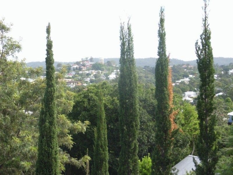 2 St Barnabas Place, RED HILL QLD 4059, Red Hill - Thumbnail 2