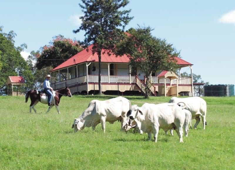MOUNT CROSBY QLD 4306, Mount Crosby - Image 1