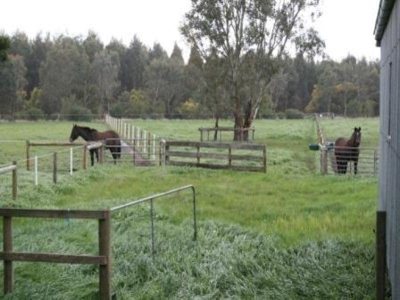 NAREEN VIC 3315, Nareen - Thumbnail 7