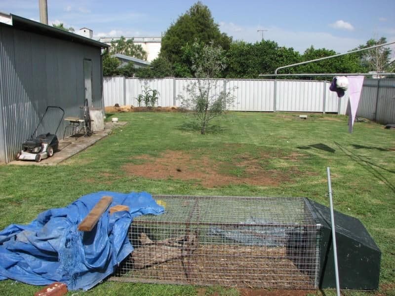 11 Gunn Street, FORBES NSW 2871, Forbes - Thumbnail 8