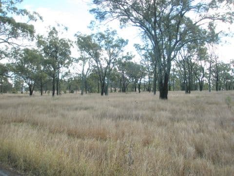 L3 Linthorpe Road, PITTSWORTH QLD 4356, Pittsworth - Thumbnail 2