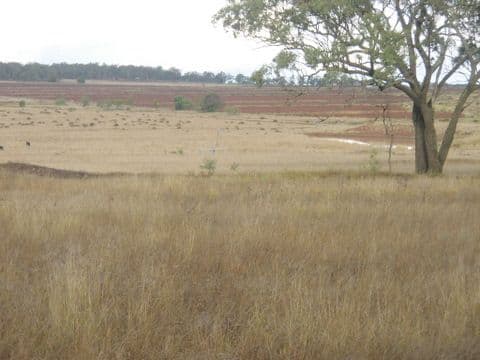 L3 Linthorpe Road, PITTSWORTH QLD 4356, Pittsworth - Image 1