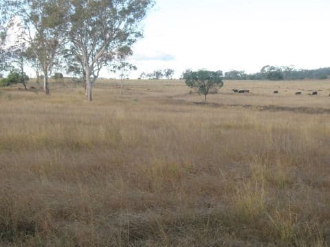 L3 Linthorpe Road, PITTSWORTH QLD 4356, Pittsworth - Thumbnail 3