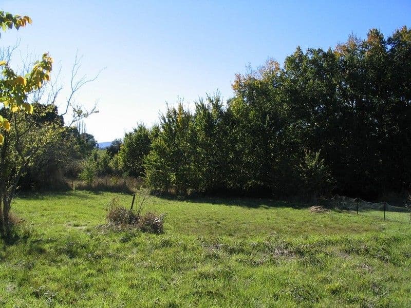 84 Weld Street, BEACONSFIELD TAS 7270, Beaconsfield - Thumbnail 2