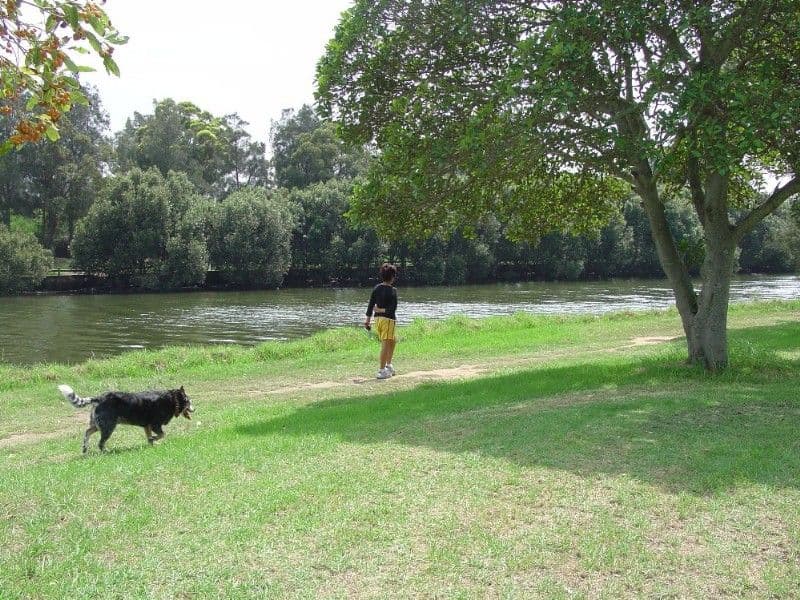 1 Bamboo Avenue, EARLWOOD NSW 2206, Earlwood - Thumbnail 5
