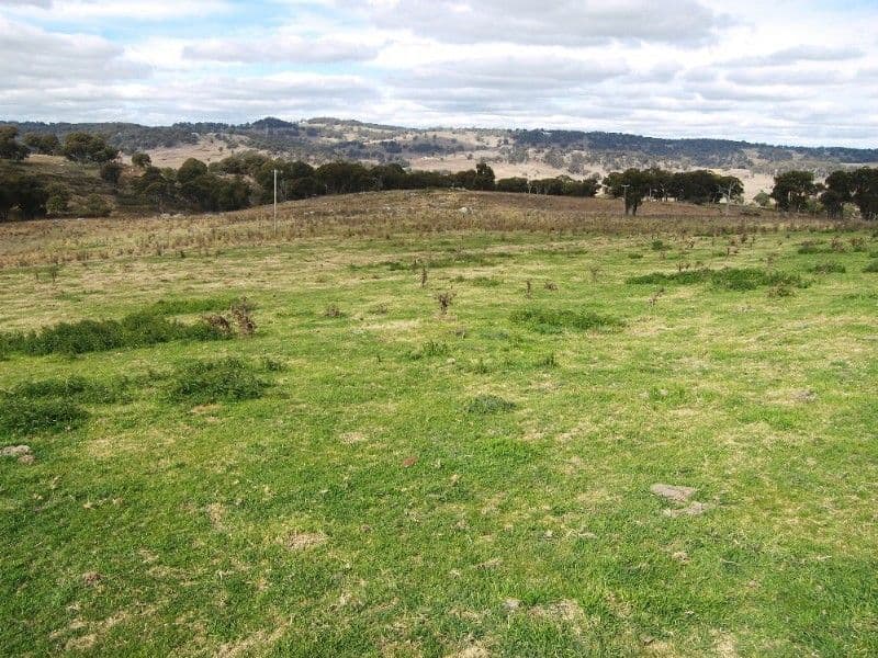 GUYRA NSW 2365, Guyra - Image 1