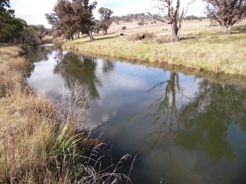 GUYRA NSW 2365, Guyra - Thumbnail 2