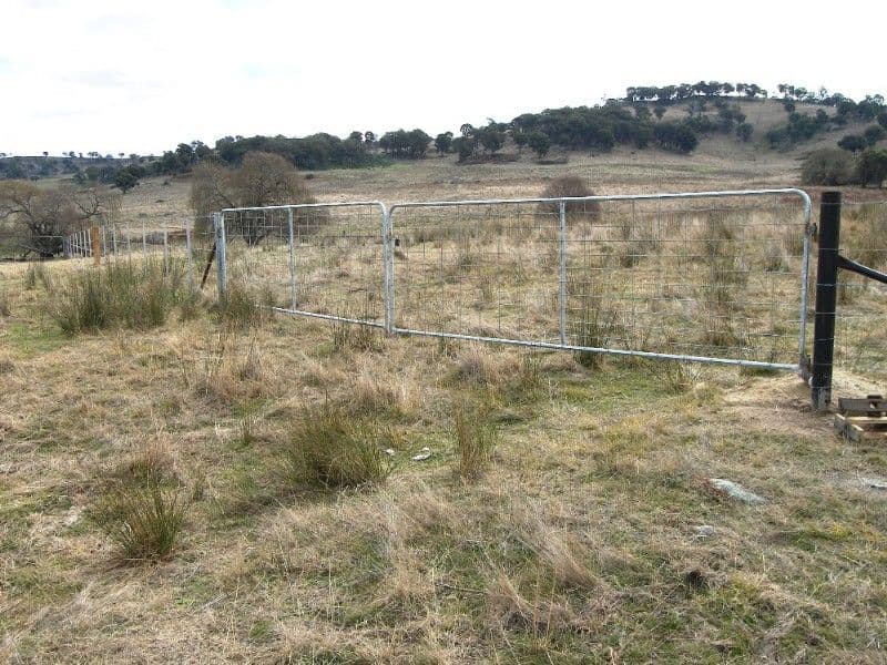 GUYRA NSW 2365, Guyra - Thumbnail 5