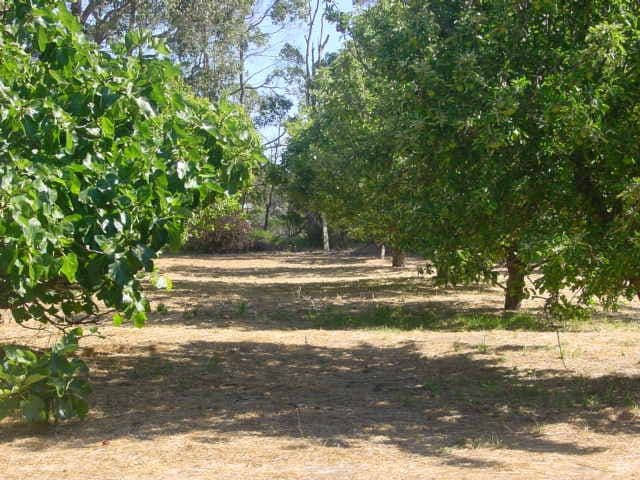 MOUNT BARKER WA 6324, Mount Barker - Thumbnail 2