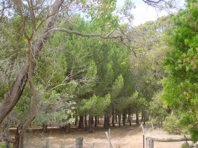 MOUNT BARKER WA 6324, Mount Barker - Thumbnail 4