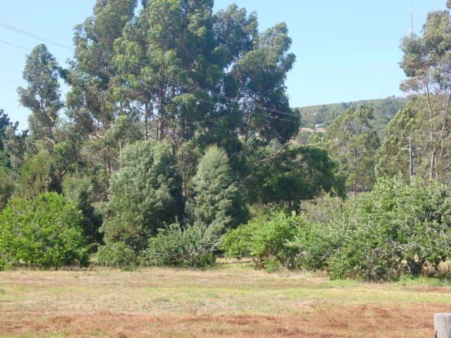 MOUNT BARKER WA 6324, Mount Barker - Thumbnail 7