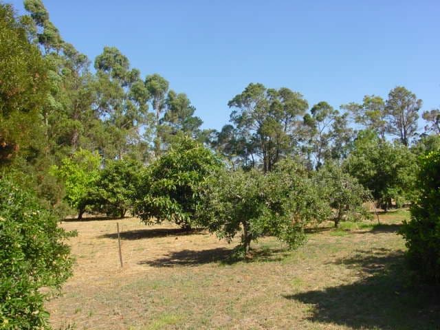 MOUNT BARKER WA 6324, Mount Barker - Thumbnail 8