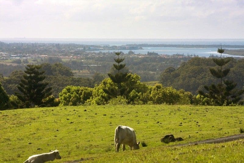 ALSTONVILLE NSW 2477, Alstonville - Thumbnail 4