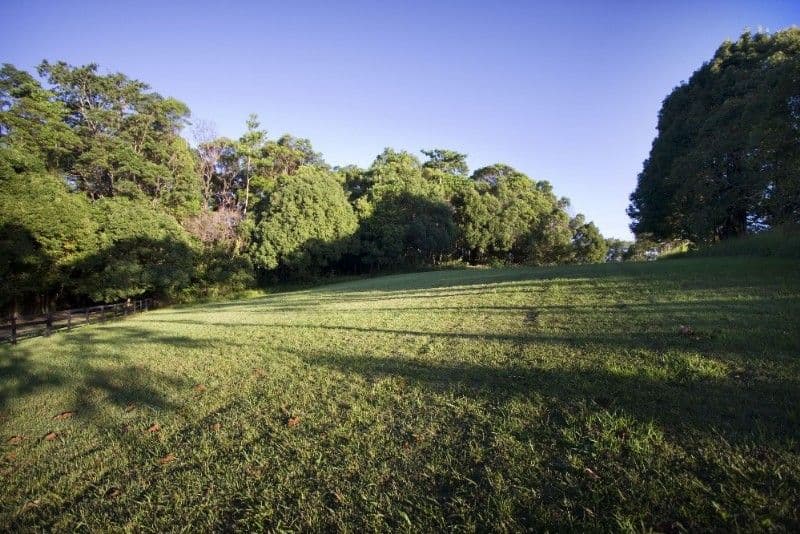 ALSTONVILLE NSW 2477, Alstonville - Thumbnail 8