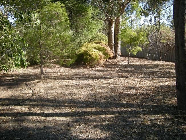 3 Messines Court, GREENMOUNT WA 6056, Greenmount - Thumbnail 5
