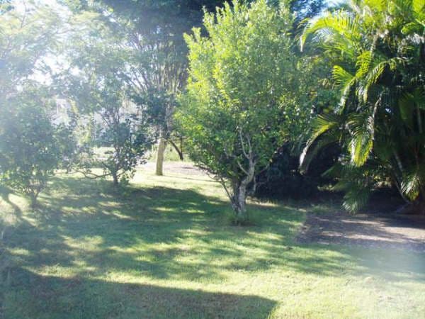 9 Burbank Road, BIRKDALE QLD 4159, Birkdale - Thumbnail 3