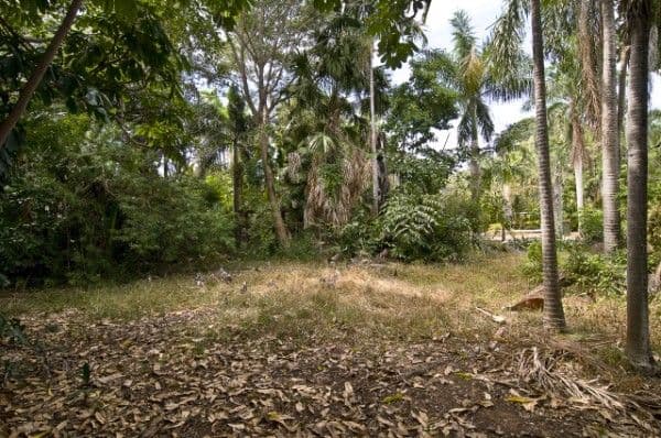 1 Jensen Street, PARAP NT 0820, Parap - Image 1