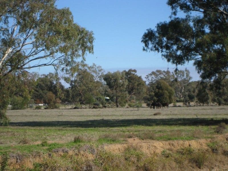 DENILIQUIN NSW 2710, Deniliquin - Image 1
