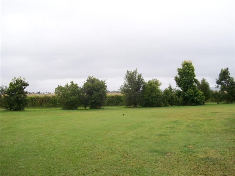 45 Jay Road, Mourilyan Harbour, INNISFAIL QLD 4860, Innisfail - Thumbnail 3