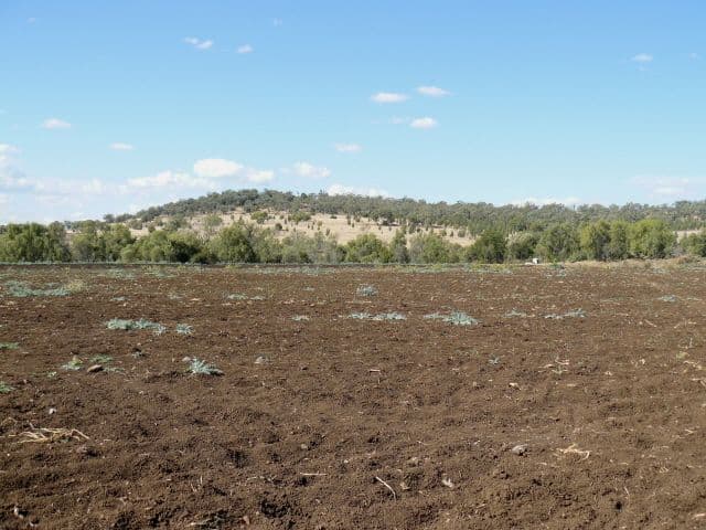 NORTH STAR NSW 2408, North Star - Thumbnail 6