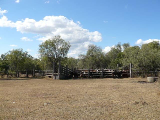 NORTH STAR NSW 2408, North Star - Thumbnail 7