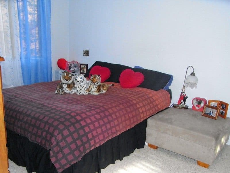 12 High Street, CARLTON NSW 2218, Carlton - Thumbnail 4