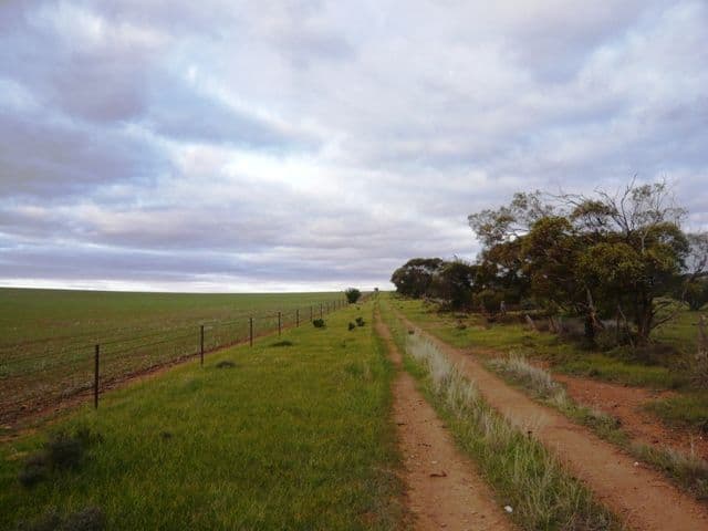 ROBERTSTOWN SA 5381, Robertstown - Thumbnail 5