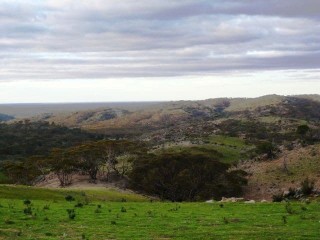 ROBERTSTOWN SA 5381, Robertstown - Thumbnail 2