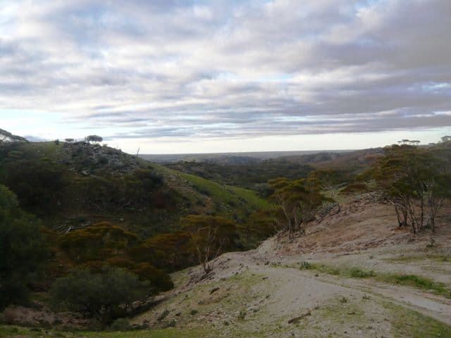 ROBERTSTOWN SA 5381, Robertstown - Thumbnail 8