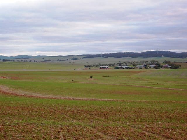 ROBERTSTOWN SA 5381, Robertstown - Thumbnail 6