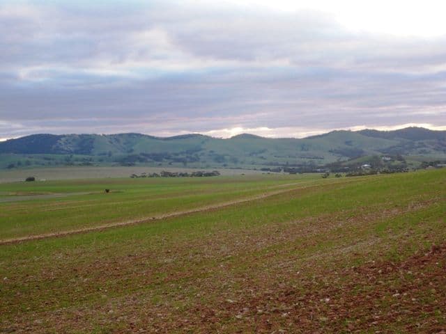 ROBERTSTOWN SA 5381, Robertstown - Thumbnail 3