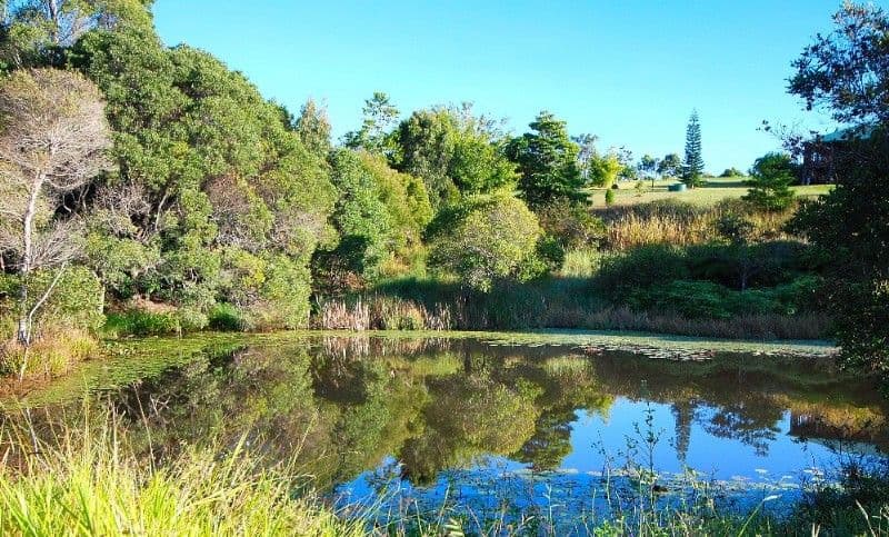 37 Kelly Road, KURANDA QLD 4881, Kuranda - Thumbnail 2