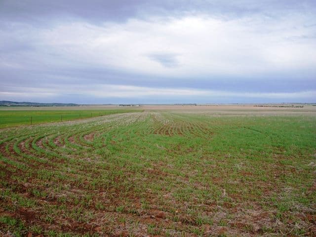 KYBUNGA SA 5453, Kybunga - Thumbnail 2