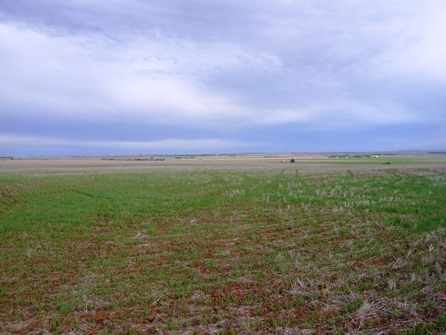 KYBUNGA SA 5453, Kybunga - Thumbnail 3