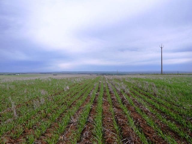 KYBUNGA SA 5453, Kybunga - Image 1