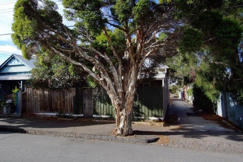 5 Edmund Street, CLIFTON HILL VIC 3068, Clifton Hill - Thumbnail 2