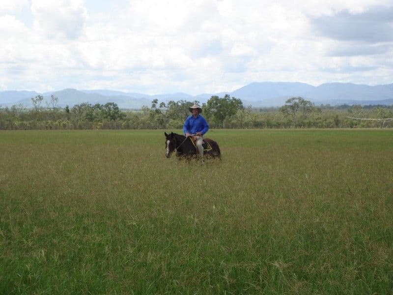 DIMBULAH QLD 4872, Dimbulah - Thumbnail 4