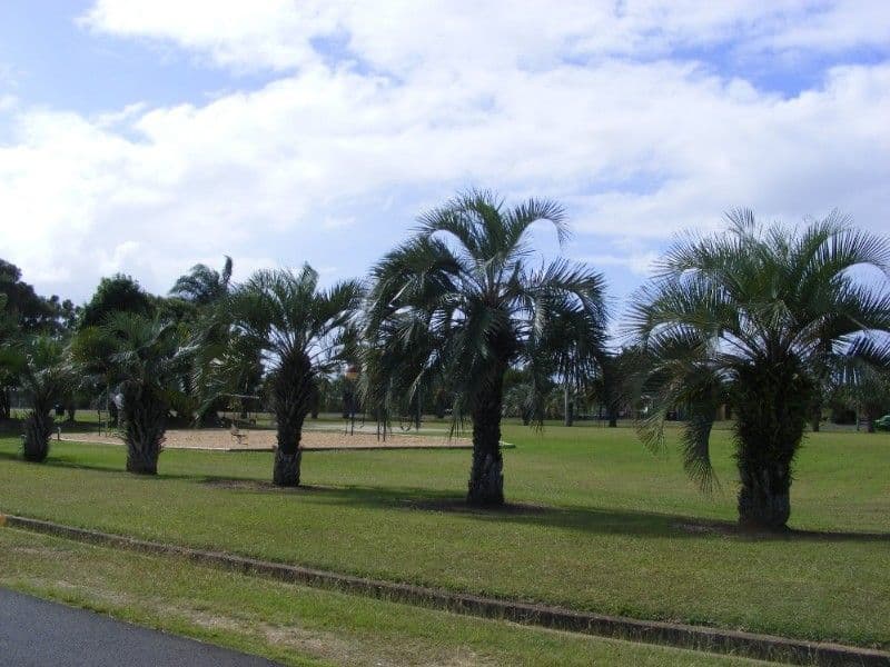 83 Pitt Street, WALKERVALE QLD 4670, Walkervale - Thumbnail 7