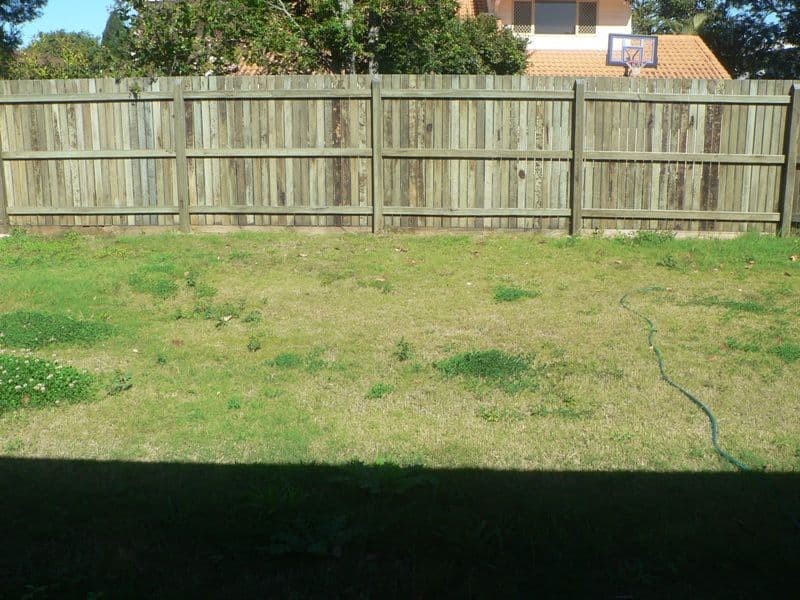 41 Chilton Street, SUNNYBANK HILLS QLD 4109, Sunnybank Hills - Thumbnail 8
