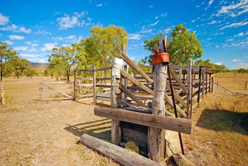 12 Carroll Lane, BOULDERCOMBE QLD 4702, Bouldercombe - Thumbnail 8