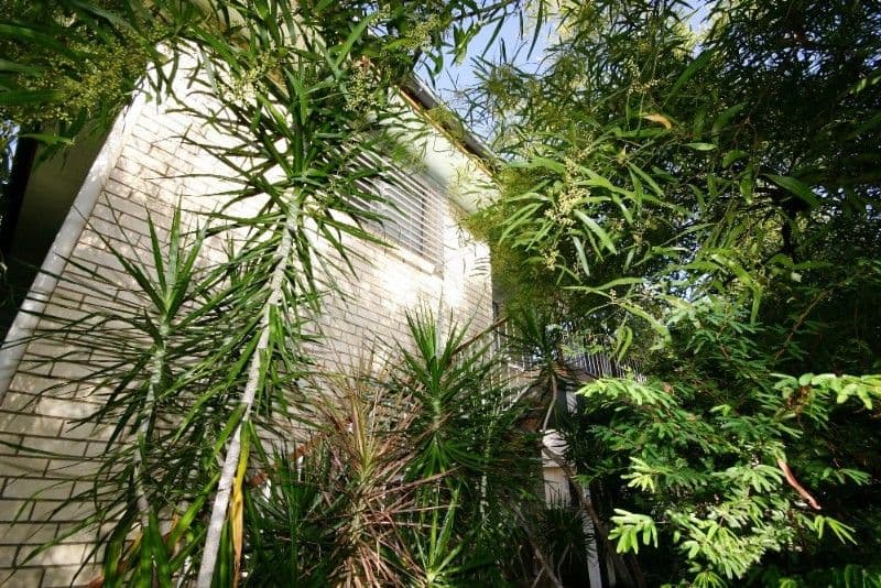 24 HELBIG Road, Morgan, SA, 5320, Morgan - Thumbnail 5