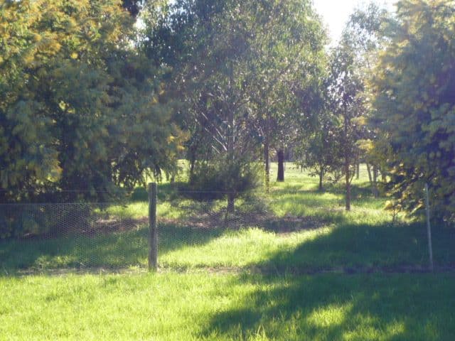 MOUNT BARKER WA 6324, Mount Barker - Thumbnail 4