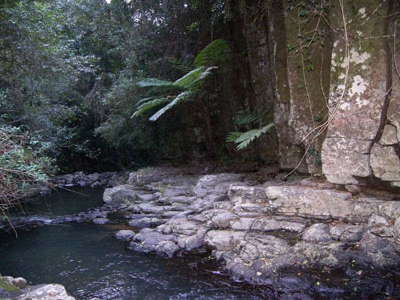 MALENY QLD 4552, Maleny - Thumbnail 4