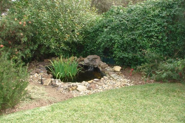 20 Wimbow Place, SOUTH WINDSOR NSW 2756, South Windsor - Thumbnail 6