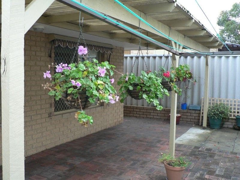 101 Adrian Street, PALMYRA WA 6157, Palmyra - Thumbnail 3