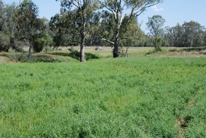 BRYMAROO QLD 4403, Brymaroo - Thumbnail 2