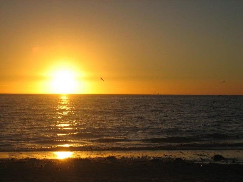 4/20 St Johns Row, GLENELG SA 5045, Glenelg - Thumbnail 2