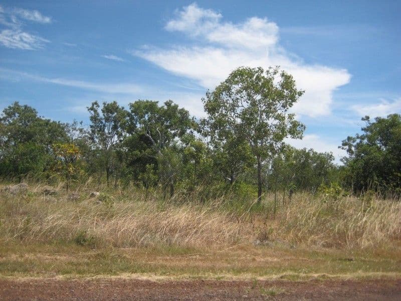 62 Cragborn Road, KATHERINE NT 0850, Katherine - Thumbnail 4