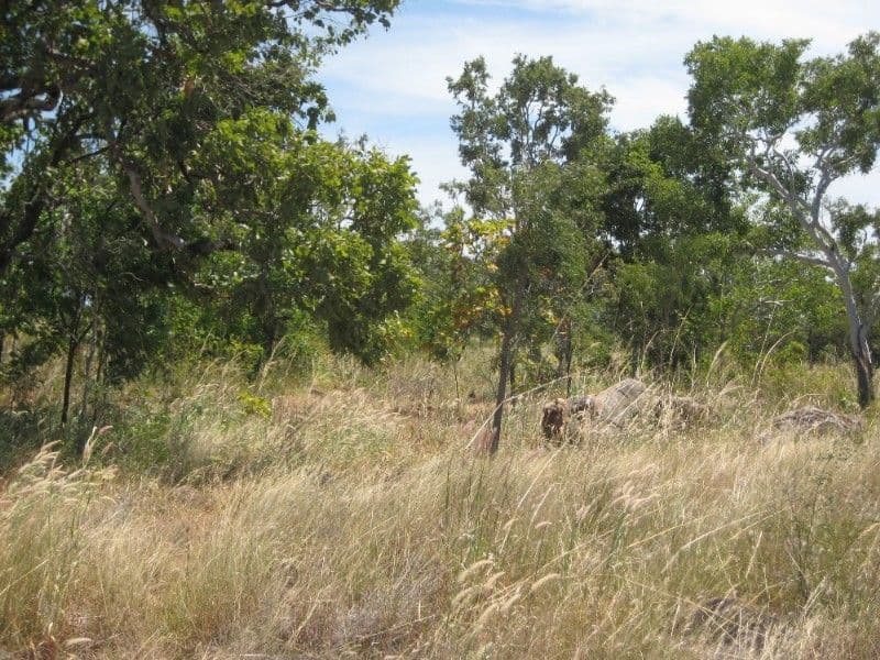 62 Cragborn Road, KATHERINE NT 0850, Katherine - Thumbnail 5